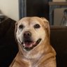 Old Learner's profile picture