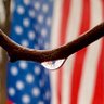 Loretta D Lorenzo 🇺🇸🦅 profil fotoğrafı