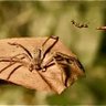 kara 🐜 的头像