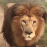 Adam profil fotoğrafı