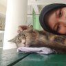 chiffon cake's profile picture