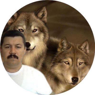 MertMehmet15's profile picture