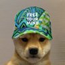 FreeYourMind's profile picture