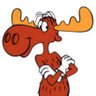 Profilbild von OSINT Moose
