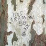 Фото профиля MejorNosInformamos