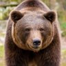 Profilbild von Siegfried