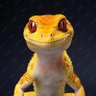 Yellow Boy's profile picture