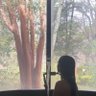 Belle 的头像