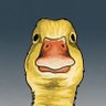 Toni Quiñonero's profile picture