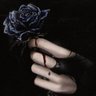Crysta's profile picture