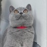Berkant Tarık profil fotoğrafı