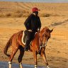 خليل بن إبراهيم المسعر profil fotoğrafı