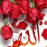 Profilbild von Ashraf Alsamarraie