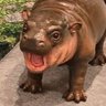 สวัสดี ประเทศไทย's profile picture