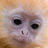 martin's profile picture