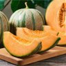 melon musk 的头像