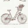 🚲 frei - jottes 's profile picture
