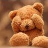 waleed alfaleh's profile picture