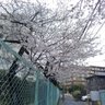 スパーク2000 profil fotoğrafı