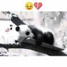 zagloul77 profil fotoğrafı
