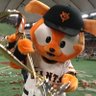 さかもっちゃん🦁🦁🦁's profile picture