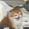 Profilbild von 时光
