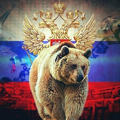 RussiaNews 🇷🇺's profile picture