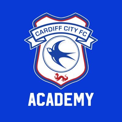 CF11Academy's profile picture
