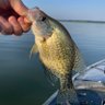 outdoorsman 🦌🐟🇺🇸 profil fotoğrafı