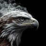 four20 profil fotoğrafı