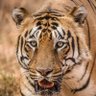 Фото профиля Samir Arunkumar Vaidya