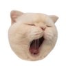 Profilbild von はら