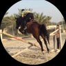Wael khanfer 🇯🇴's profile picture
