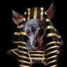 Cole da Mole on Pawtrol 🐾's profile picture