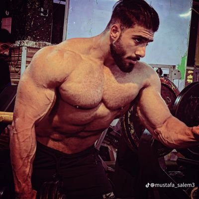 اسلام العالمي's profile picture