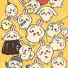 りく's profile picture