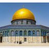 MuhammadXi's profile picture