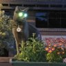 Profilbild von The Crypto Cat