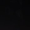 🕷️'s profile picture