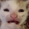 Cole's profile picture