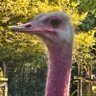Фото профиля Henk en Ingrid