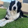 Fortuna_Fn's profile picture