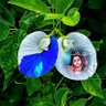 Manoj Rathore's profile picture