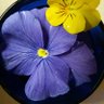 Фото профиля cagg61