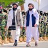 pashtoon4455 的头像