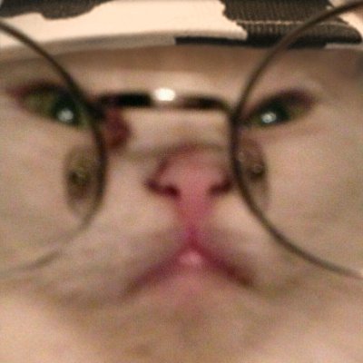 odd's profile picture