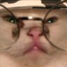 odd's profile picture