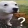 szymiszymija 的头像