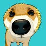 Xav profil fotoğrafı