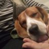 Е.К.А.'s profile picture